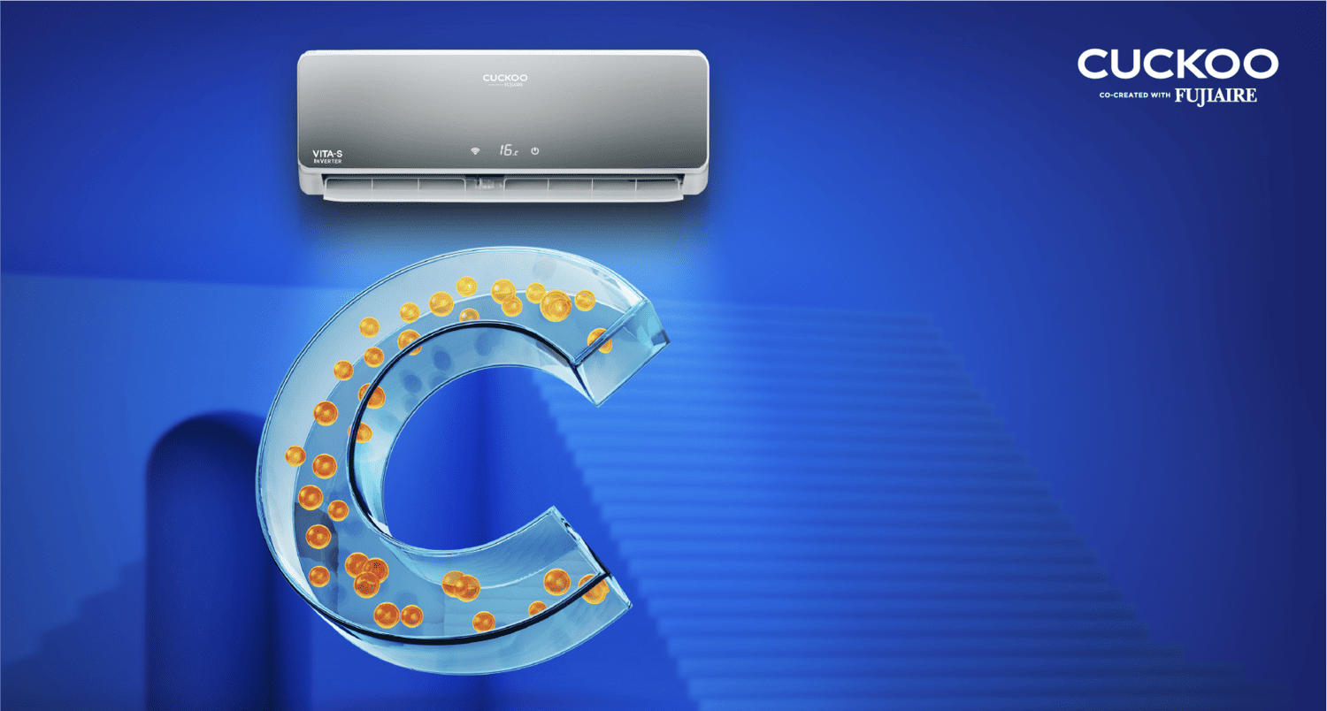 vita-s-banner-20242x